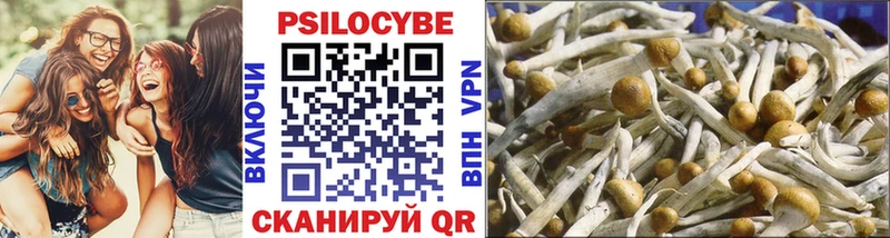 сайты даркнета клад  Тырныауз  Псилоцибиновые грибы MAGIC MUSHROOMS 